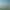 My Island.