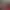 https://shared.akamai.steamstatic.com/store_item_assets/steam/apps/1009420/header.jpg?t=1717424072