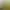 https://shared.akamai.steamstatic.com/store_item_assets/steam/apps/1016920/header.jpg?t=1749736680