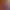 https://shared.akamai.steamstatic.com/store_item_assets/steam/apps/1017650/header.jpg?t=1728047000