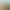 https://shared.akamai.steamstatic.com/store_item_assets/steam/apps/1019960/header.jpg?t=1724817802