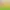 https://shared.akamai.steamstatic.com/store_item_assets/steam/apps/1021690/header.jpg?t=1565591185