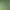 Northgard - Svardilfari, Clan of the Horse.