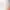https://shared.akamai.steamstatic.com/store_item_assets/steam/apps/1045520/header.jpg?t=1723893770