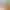 https://shared.akamai.steamstatic.com/store_item_assets/steam/apps/1054990/header.jpg?t=1698315097