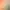 https://shared.akamai.steamstatic.com/store_item_assets/steam/apps/1056590/header.jpg?t=1632925140