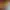 https://shared.akamai.steamstatic.com/store_item_assets/steam/apps/1065210/header.jpg?t=1728295840