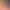 https://shared.akamai.steamstatic.com/store_item_assets/steam/apps/1083490/header.jpg?t=1730345997