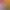 https://shared.akamai.steamstatic.com/store_item_assets/steam/apps/1087440/header.jpg?t=1665601814