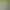 https://shared.akamai.steamstatic.com/store_item_assets/steam/apps/1090611/header.jpg?t=1613662321