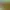 https://shared.akamai.steamstatic.com/store_item_assets/steam/apps/1091920/header.jpg?t=1749826525