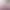 https://shared.akamai.steamstatic.com/store_item_assets/steam/apps/1096210/header.jpg?t=1634469825