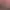 https://shared.akamai.steamstatic.com/store_item_assets/steam/apps/1108590/header.jpg?t=1728376679