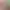 https://shared.akamai.steamstatic.com/store_item_assets/steam/apps/1108930/6af71b2c535581d5da12e6d2d0dbbf248c6d6f7d/header.jpg?t=1743234529