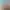 https://shared.akamai.steamstatic.com/store_item_assets/steam/apps/1110640/header.jpg?t=1727096342