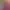 https://shared.akamai.steamstatic.com/store_item_assets/steam/apps/1116330/header.jpg?t=1652095542