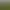 Farm Manager 2021.