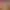 Hentai Petting Simulator.