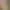 Hentai Petting Simulator.
