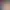 Hentai Petting Simulator.