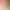 Hentai Petting Simulator.