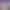 Hentai Petting Simulator.
