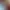 https://shared.akamai.steamstatic.com/store_item_assets/steam/apps/1127480/header.jpg?t=1689343797