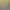 YORG.io 3.