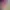 https://shared.akamai.steamstatic.com/store_item_assets/steam/apps/1139280/header.jpg?t=1738082715