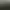 Hunt: Showdown  1896 - Legends of the Bayou.