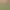 https://shared.akamai.steamstatic.com/store_item_assets/steam/apps/1147490/header.jpg?t=1737595069