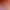 https://shared.akamai.steamstatic.com/store_item_assets/steam/apps/1149440/header.jpg?t=1727748608