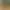 Dino Zoo Transport Simulator.