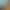https://shared.akamai.steamstatic.com/store_item_assets/steam/apps/1158940/header.jpg?t=1744285471