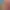 https://shared.akamai.steamstatic.com/store_item_assets/steam/apps/1172100/header.jpg?t=1712936236