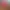 https://shared.akamai.steamstatic.com/store_item_assets/steam/apps/1174030/header.jpg?t=1727715780