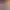 https://shared.akamai.steamstatic.com/store_item_assets/steam/apps/1175410/header.jpg?t=1726127633