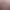 https://shared.akamai.steamstatic.com/store_item_assets/steam/apps/1184160/header.jpg?t=1725325015