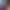https://shared.akamai.steamstatic.com/store_item_assets/steam/apps/1184890/header.jpg?t=1749034328