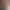https://shared.akamai.steamstatic.com/store_item_assets/steam/apps/1192730/header.jpg?t=1581629585