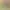 https://shared.akamai.steamstatic.com/store_item_assets/steam/apps/1196440/header.jpg?t=1715363193