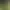 https://shared.akamai.steamstatic.com/store_item_assets/steam/apps/1201540/header.jpg?t=1732633592
