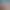 https://shared.akamai.steamstatic.com/store_item_assets/steam/apps/1203190/922dd96928fdab93eb3bf041d33cb057b02cc236/header_alt_assets_1.jpg?t=1749797379