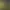 Animal Revolt Battle Simulator.
