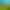 Animal Revolt Battle Simulator.