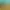 Animal Revolt Battle Simulator.