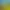 Animal Revolt Battle Simulator.