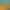 Animal Revolt Battle Simulator.