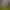 https://shared.akamai.steamstatic.com/store_item_assets/steam/apps/1215870/header.jpg?t=1746093201