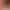 https://shared.akamai.steamstatic.com/store_item_assets/steam/apps/1217410/header.jpg?t=1681986926